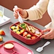 picnic plastic bento lunch box
